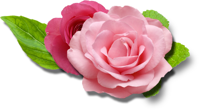 ETERIX roses